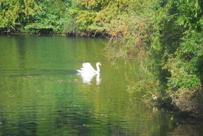 Herbstzauber 043yy.jpg