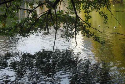 Herbstzauber 031yy.jpg