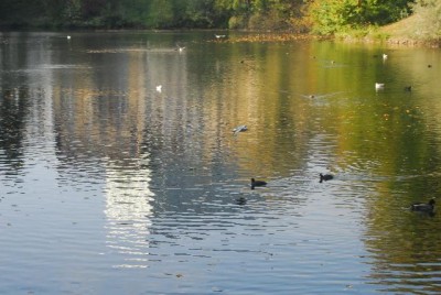 Herbstzauber 026yy.jpg