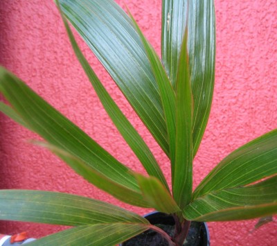 20101013_0001_1.JPG
