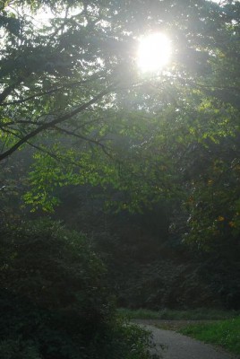 Herbstzauber003yy.jpg