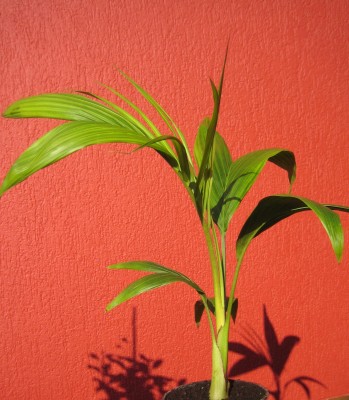 20101013_0001_3.JPG