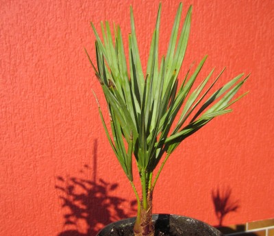 20101013_0001_4.JPG