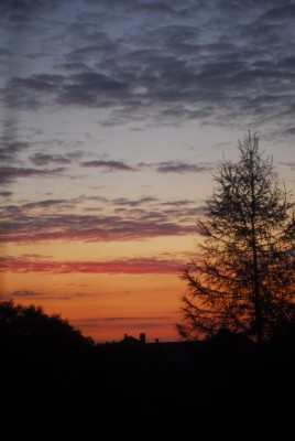 ballenstedt209 026yy.jpg