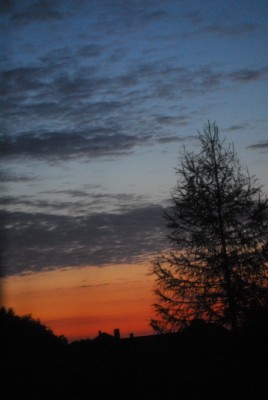 ballenstedt209 021yy.jpg