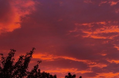 03.09.2010_3.jpg