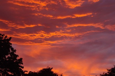 03.09.2010_2.jpg