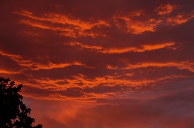 03.09.2010_1.jpg