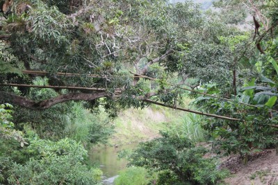 Brücke am Mangobaum, 2010_10_13_2576.JPG