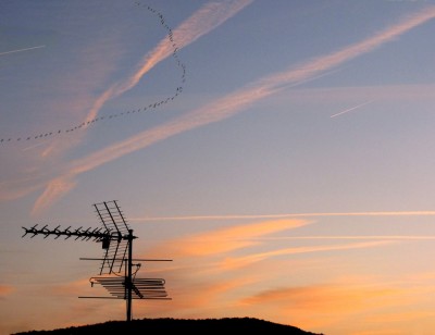 Kraniche--muessen-sich-den-Himmel-teilen.JPG