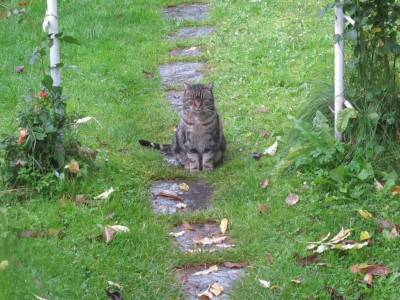 Lucie im Rosentor.JPG