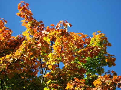 IMG_8804.JPG