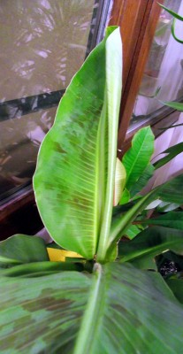 18.10.2010 003.JPG