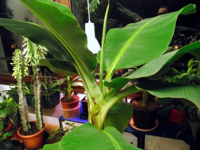 18.10.2010 002.JPG
