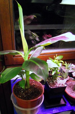 18.10.2010 001.JPG