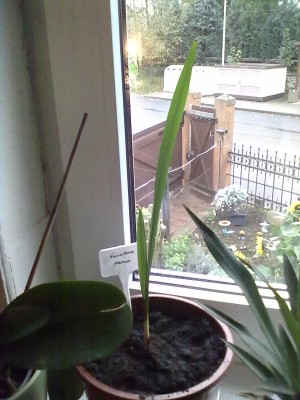19102010056.jpg