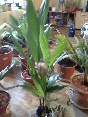 19102010051.jpg
