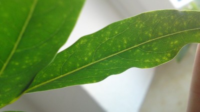 20102010081.JPG