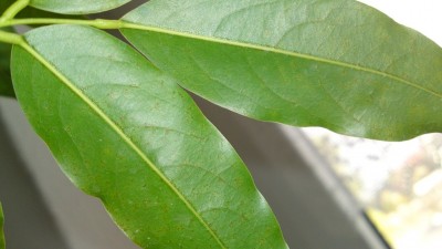 20102010080.JPG