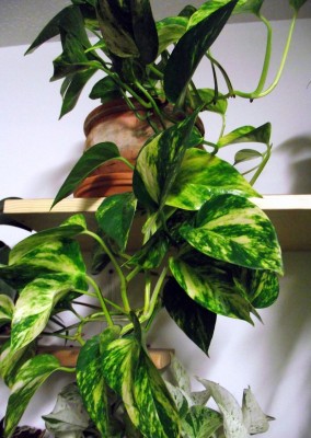 20.10.2010 003.JPG