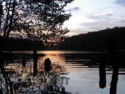 2010-10-20 116kl.jpg