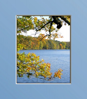 2010-10-17 039xx.jpg