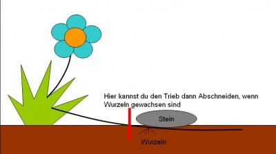 Absenker.JPG