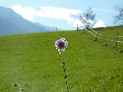 Himmlisch.jpg
