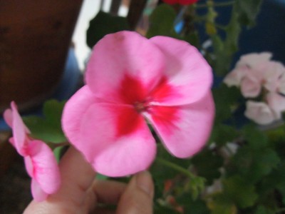 DSCF4342.JPG