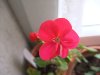 DSCF4364.JPG