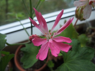 DSCF4370.JPG