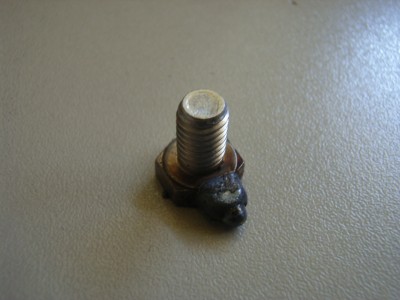 RIMG0489.JPG