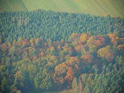 Herbst aus der Luft.jpg