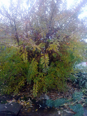 25102010167.png