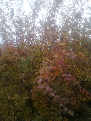 25102010168.png
