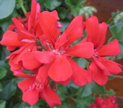 20101024_0001_1.JPG