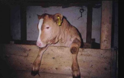 1313-18-02-03 5k.jpg