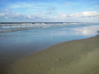IMG_3460.JPG