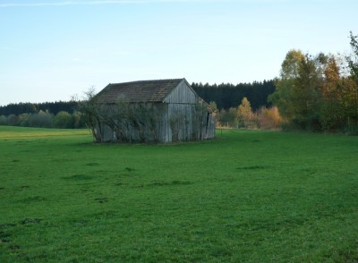 Herbst1.JPG