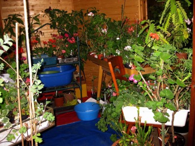 Größenänderung Wiederbelichtung von IMG_2523.JPG