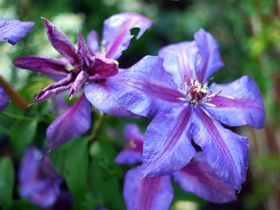 2010-08-28 062kl.jpg