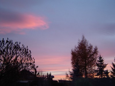 DSC07015.jpg