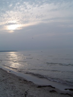 DSC07736.jpg