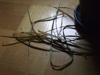 bild4.JPG
