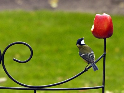 2010-10-27 301kl.jpg