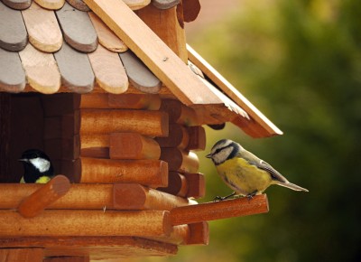 2010-10-27 299kl.jpg