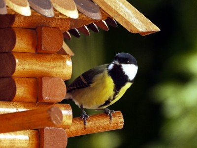 2010-10-27 145kl.jpg