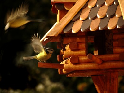 2010-10-27 005kl.jpg