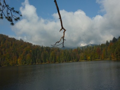 Am Hechtsee.jpg