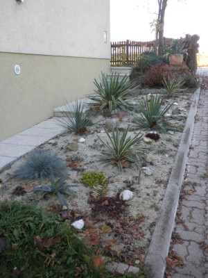 wüstengarten.jpg